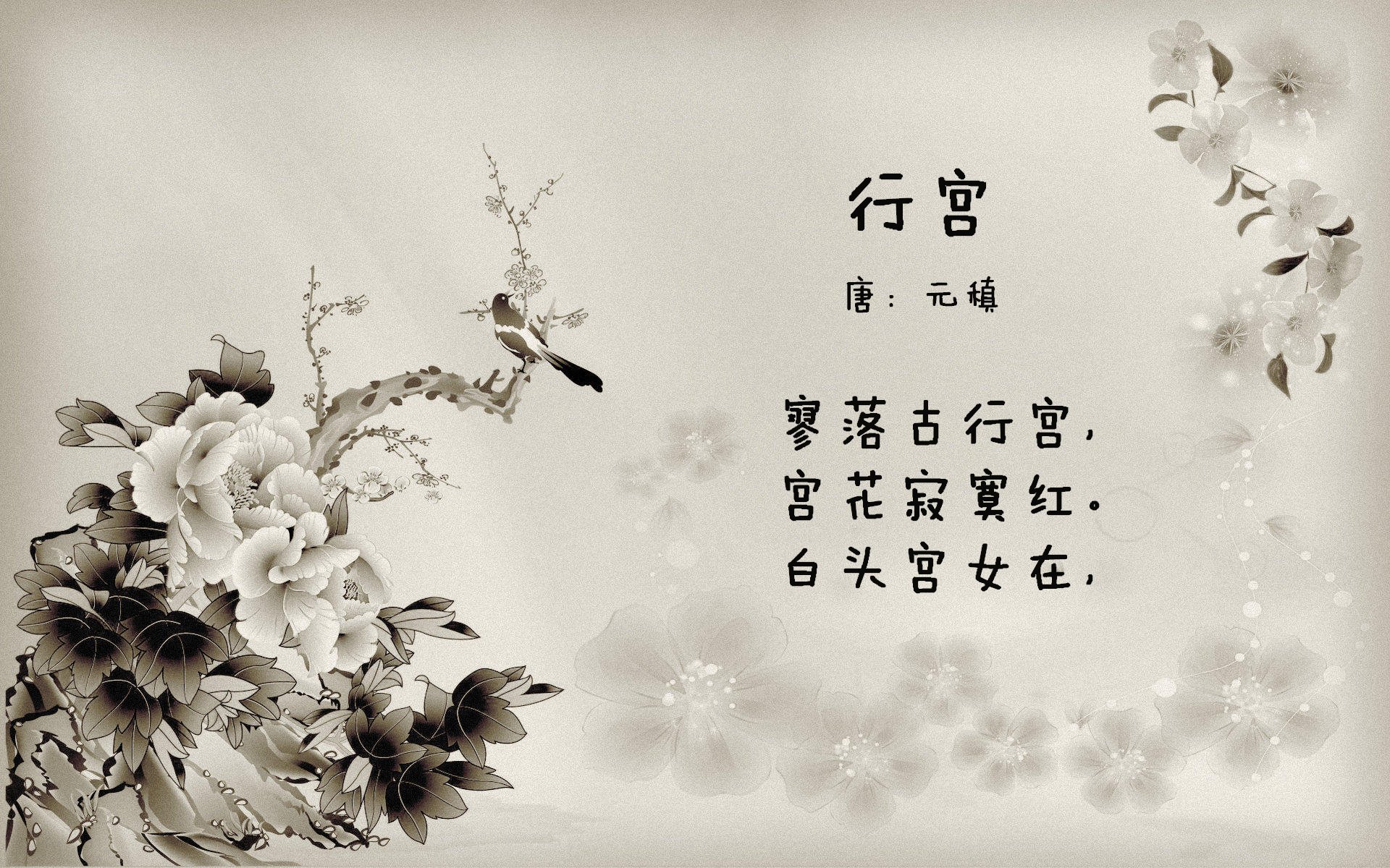 快船防守端展现统治力，谁是快船更好的防守球员