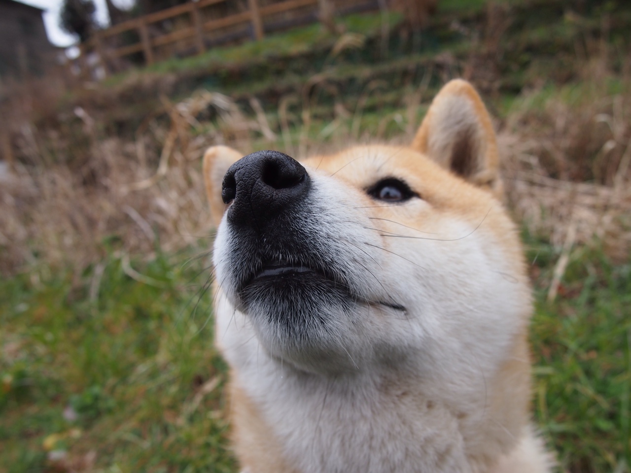 中学篮球加强基本功训练提升技术水平，中学篮球训练中应注意哪些问题