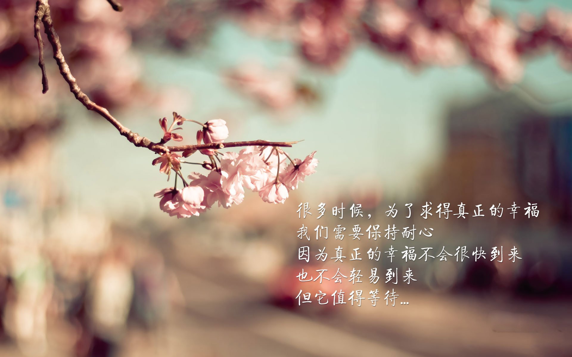 详细阅读:欧洲杯战术革新:变化多端引领新潮!,欧洲杯战记 欧洲杯战术革新:变化多端引领新潮!,欧洲杯战记