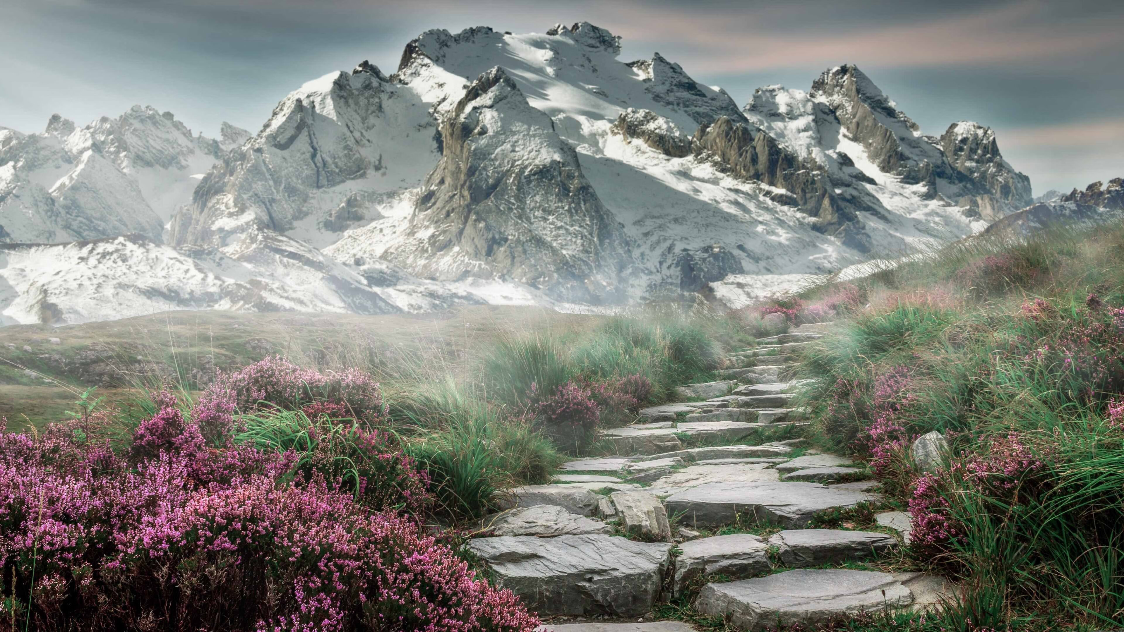 详细阅读:法国橄榄球赛事吸引更多媒体关注,全球粉丝基础扩大,法国橄榄球日历 法国橄榄球赛事吸引更多媒体关注,全球粉丝基础扩大,法国橄榄球日历