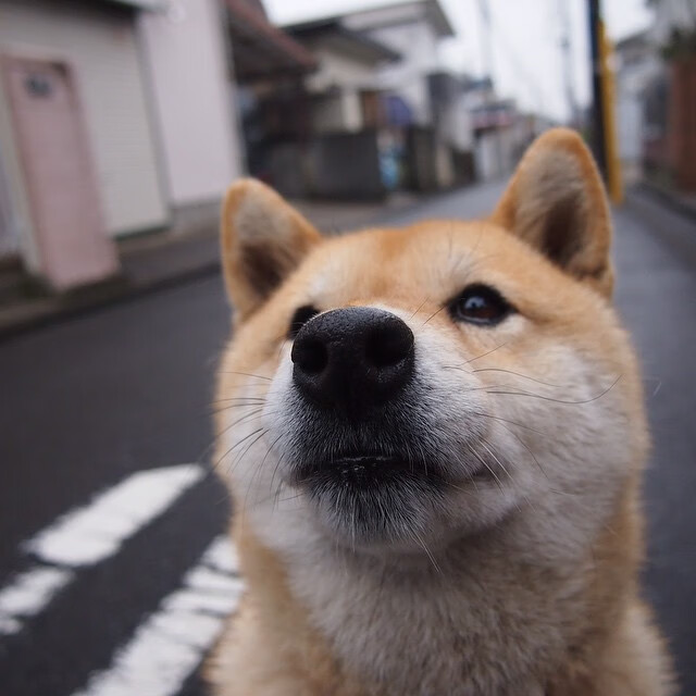 王宗源赛场表现赢得观众喝彩，王宗源参加哪些项目