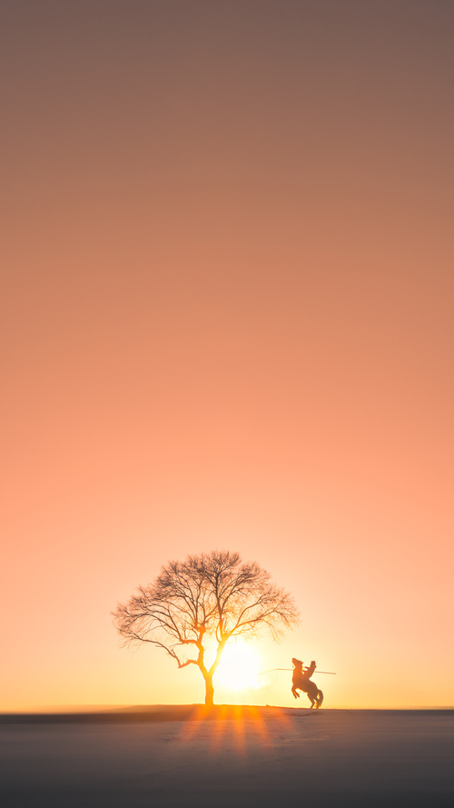 艾比·德尔福：全场防守无漏洞，成为南非队稳固防线的支柱，埃德比贝尔厉害