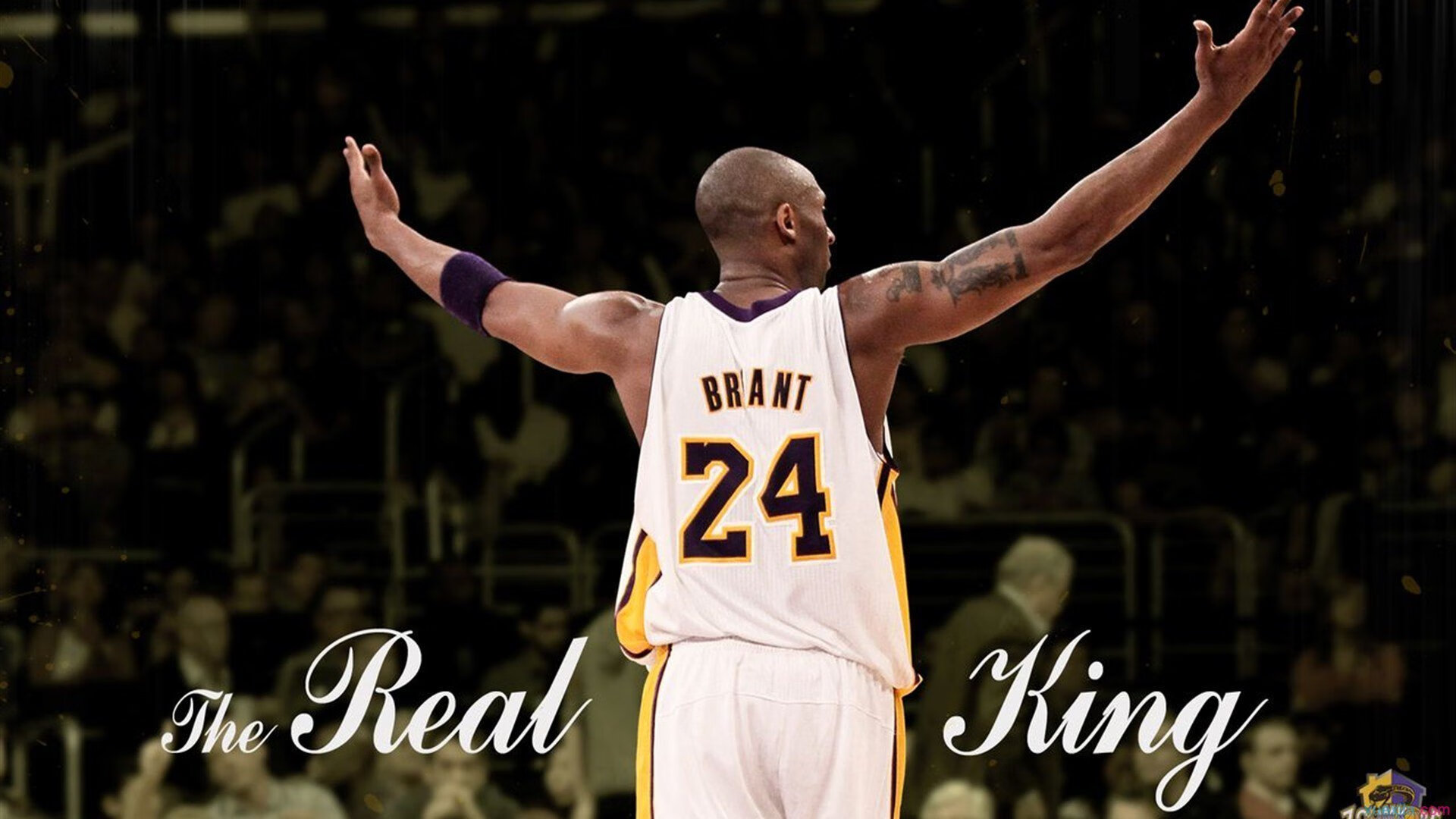 “绝佳篮下封盖：联盟最令人震撼的瞬间”